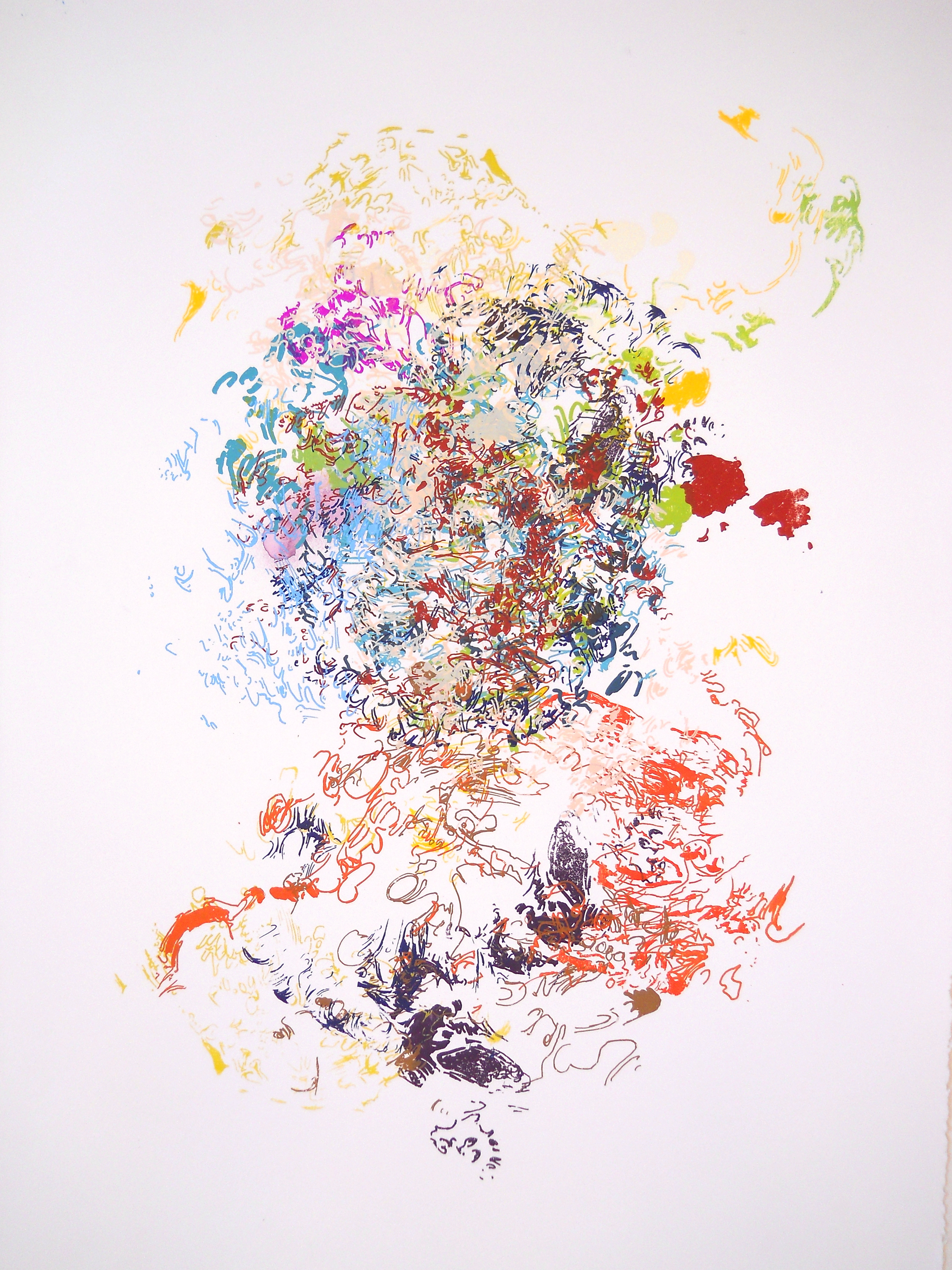 Fireworks No. 13, 2011, screen print on paper, 30 x 22 in.